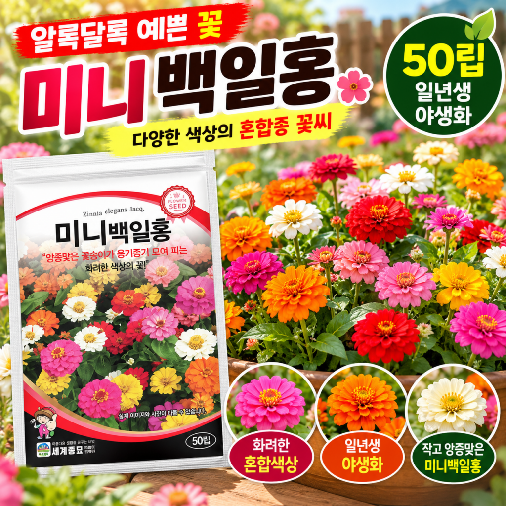 알록달록 미니 백일홍 꽃 씨앗 50립 일년생 혼합종 야생화 꽃씨 파종 제품 이미지