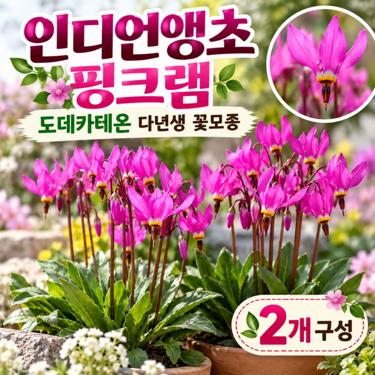 인디언앵초 핑크램 도데가테온 꽃모종 심기 다년생 관리법